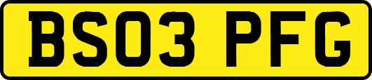 BS03PFG