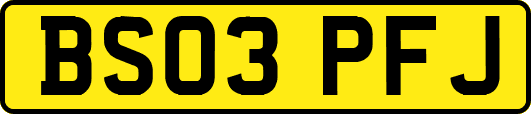 BS03PFJ