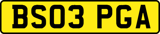 BS03PGA