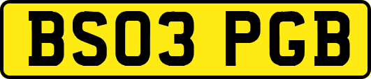BS03PGB