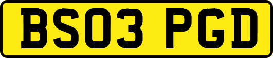 BS03PGD