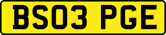 BS03PGE