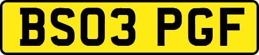 BS03PGF