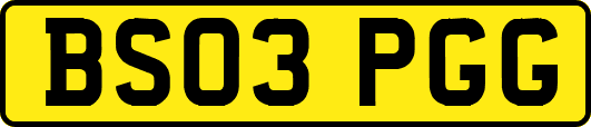 BS03PGG