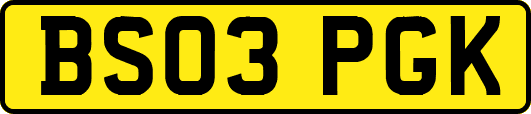BS03PGK