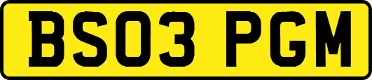 BS03PGM