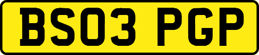 BS03PGP