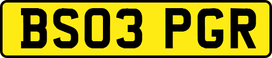 BS03PGR