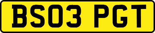 BS03PGT