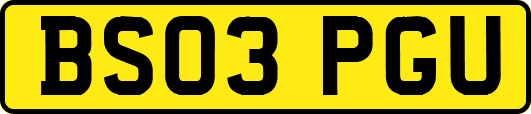BS03PGU