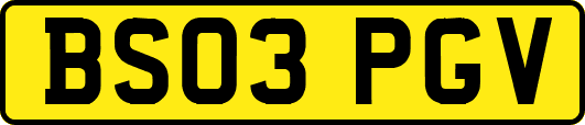 BS03PGV