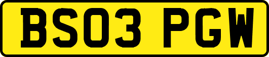 BS03PGW