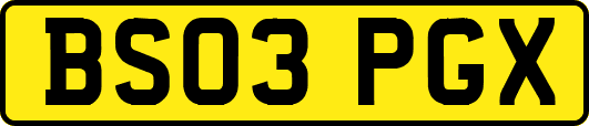 BS03PGX