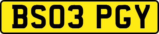 BS03PGY