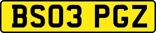 BS03PGZ