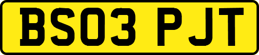 BS03PJT