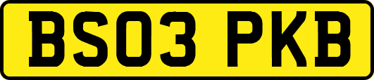 BS03PKB