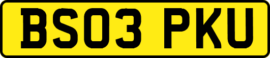 BS03PKU