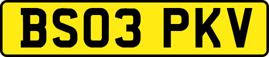 BS03PKV