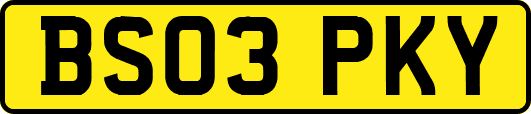 BS03PKY