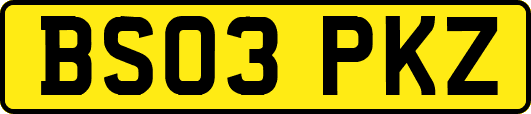 BS03PKZ