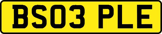 BS03PLE