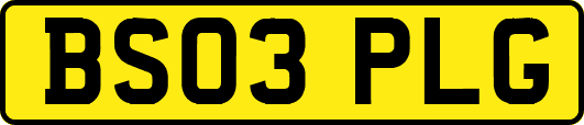 BS03PLG