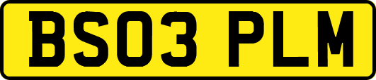 BS03PLM