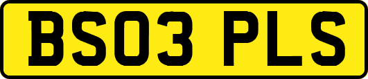 BS03PLS