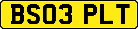 BS03PLT