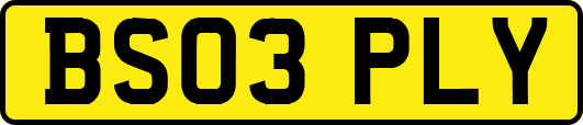 BS03PLY