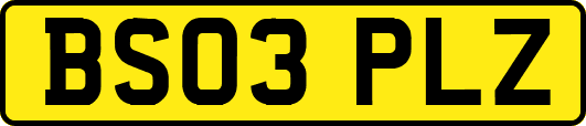BS03PLZ