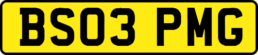 BS03PMG