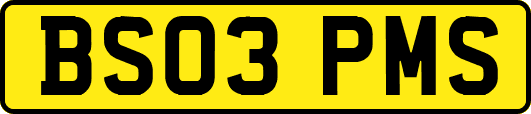 BS03PMS