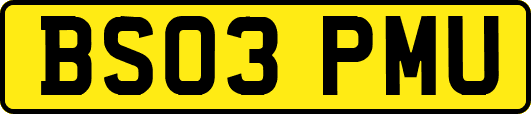 BS03PMU