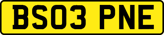 BS03PNE