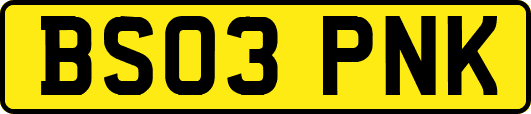 BS03PNK