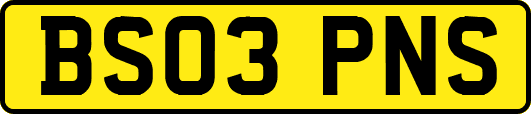 BS03PNS
