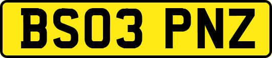 BS03PNZ