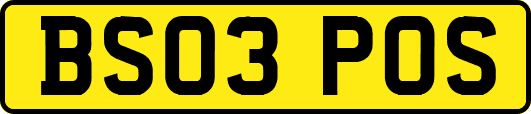 BS03POS