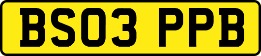 BS03PPB