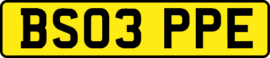 BS03PPE