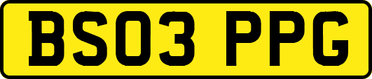 BS03PPG