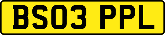 BS03PPL