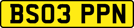 BS03PPN