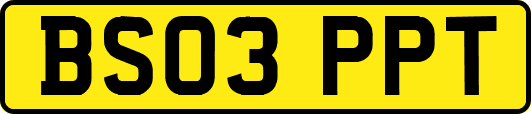 BS03PPT