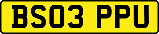 BS03PPU