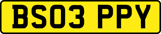 BS03PPY