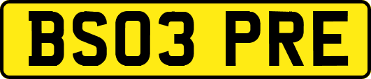 BS03PRE