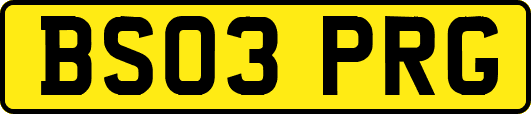 BS03PRG